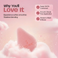 Recode Triangular Shaped Sponge